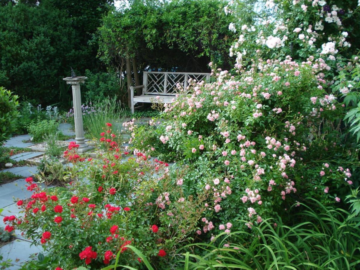 Newport House Bed & Breakfast Williamsburg Bagian luar foto